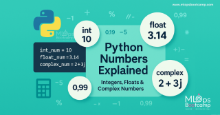 Python Numbers and Strings Explained in Depth